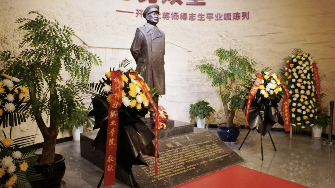 杨得志2.png